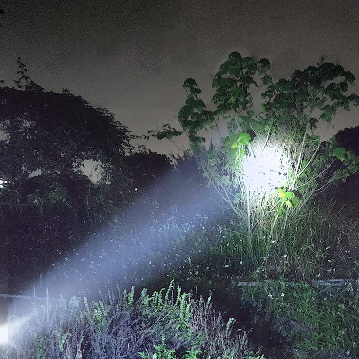 Portable LED Flash Light